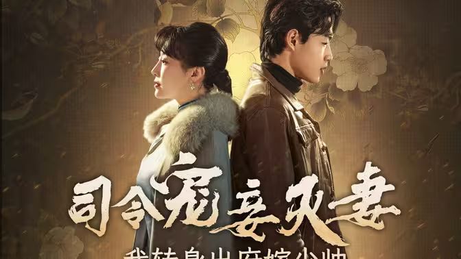 司令宠妾灭妻，我转身出府嫁少帅封面图