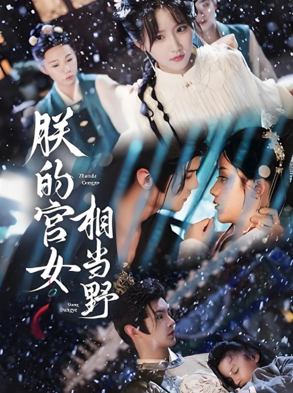 朕的宫女相当野封面图