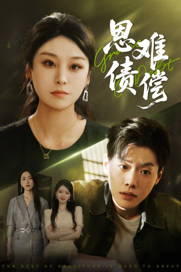 恩债难偿封面图