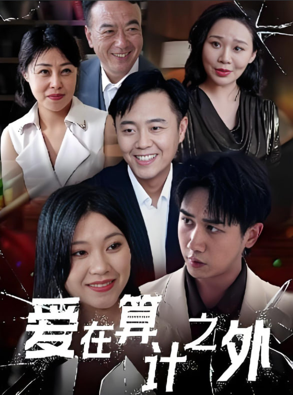 爱在算计之外封面图