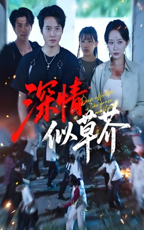 深情似草芥封面图