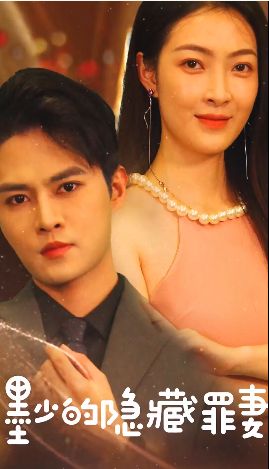 墨少的隐藏罪妻封面图