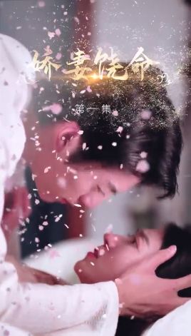 娇妻饶命封面图