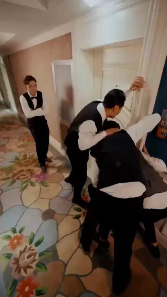 我和七个女神流落荒岛封面图