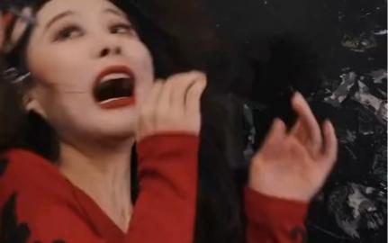 重生八九空手套白狼封面图