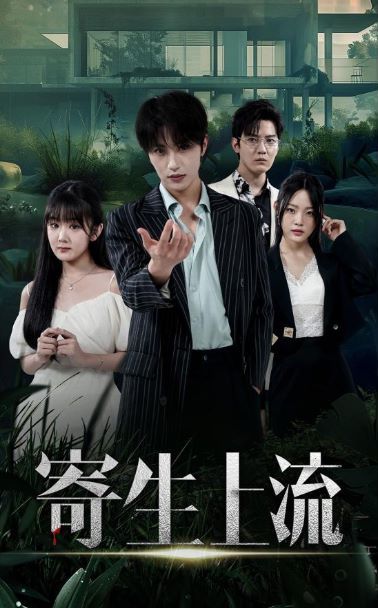 寄生上流封面图