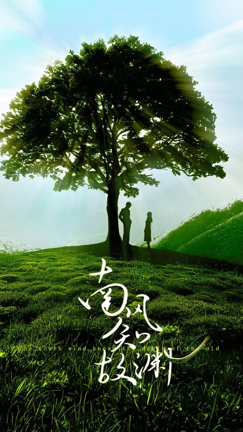 南风知故渊封面图