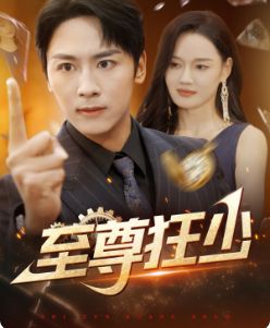 至尊狂少封面图