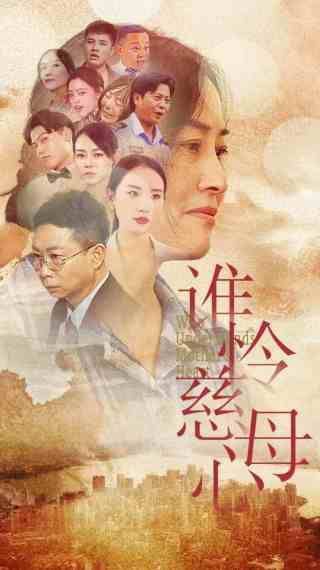 谁怜慈母心封面图