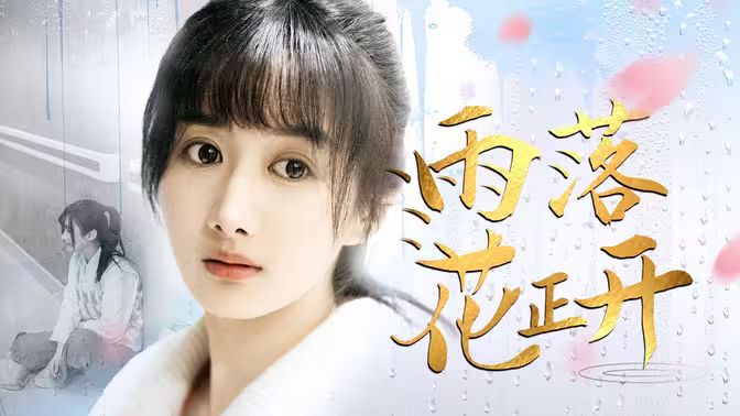 雨落花正开封面图