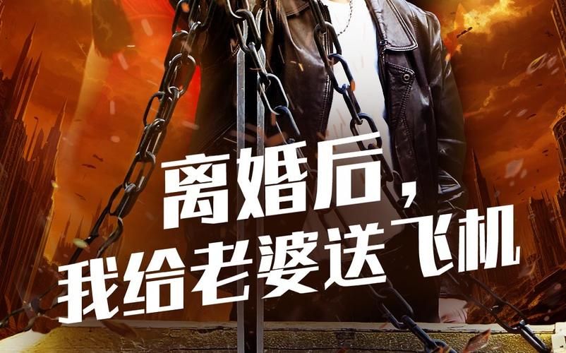 离婚后，我给老婆送飞机封面图