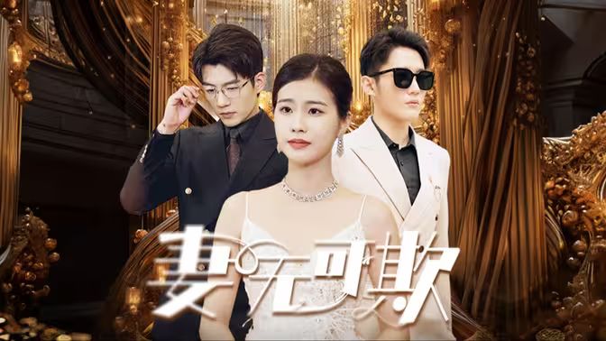 妻无可欺封面图