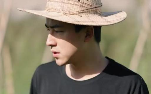 镇天战婿封面图