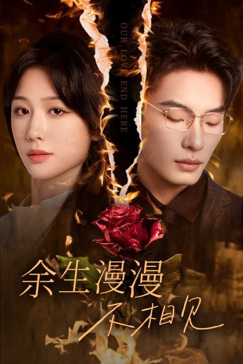 余生漫漫不相见（我们的爱到此为止）封面图