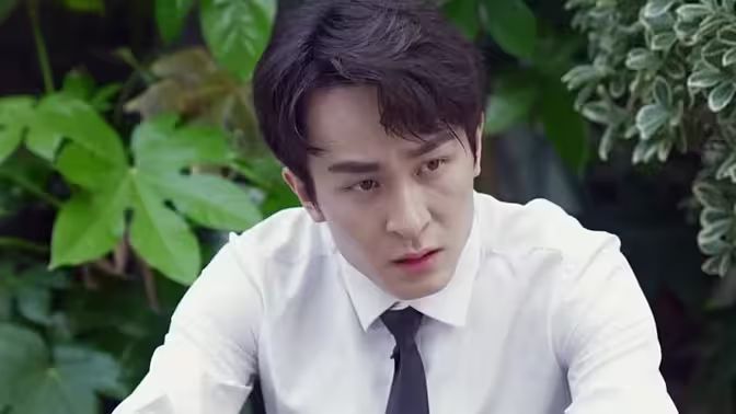 相爱已成往事封面图