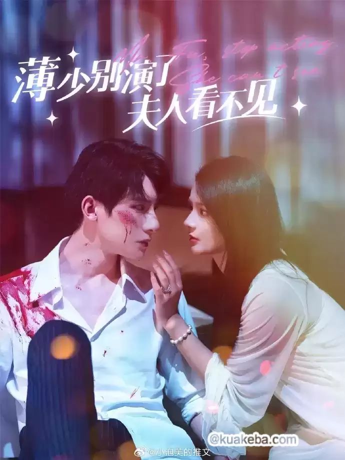 薄少别演了夫人看不见封面图