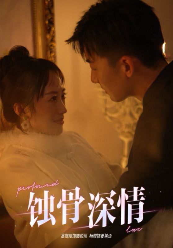 蚀骨深情封面图
