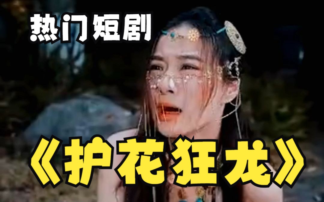 护花狂龙封面图