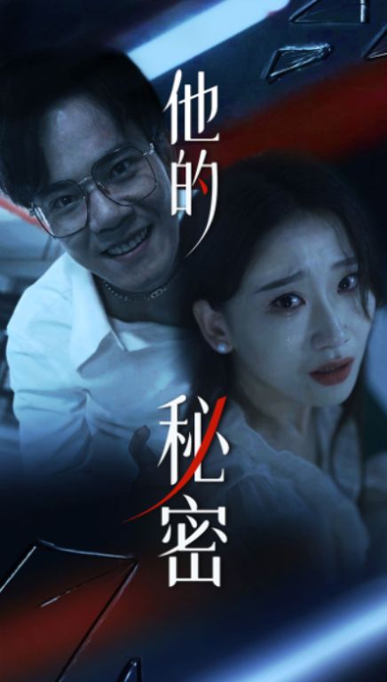 他的秘密封面图