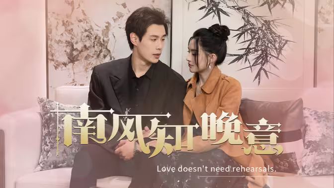 南风知晚意封面图