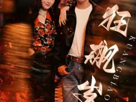 狂飙岁月封面图