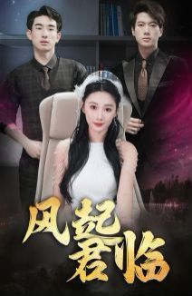 风起君临封面图