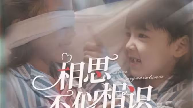 相思不似相识封面图