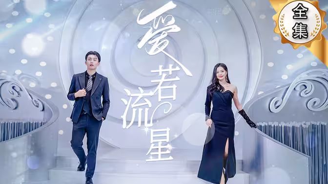 爱若流星封面图