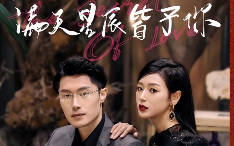 满天星辰皆予你封面图