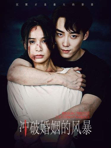 冲破婚姻的风暴封面图