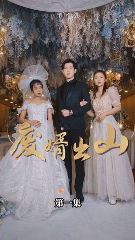 废婿出山封面图