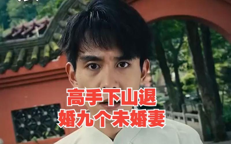 高手下山退婚九个未婚妻封面图