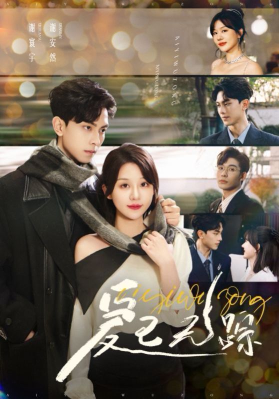 爱已无踪封面图