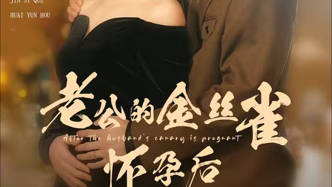 老公的金丝雀怀孕后封面图