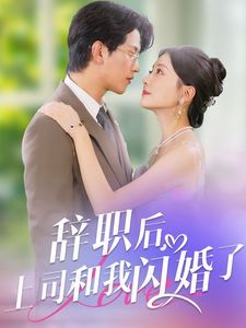 辞职后上司和我闪婚了封面图
