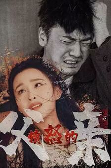 愤怒的父亲封面图