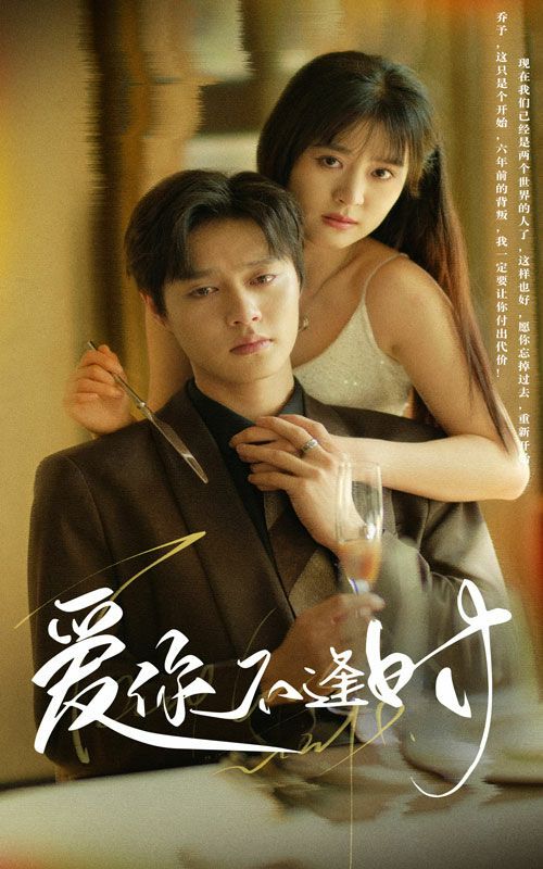 爱你不逢时封面图