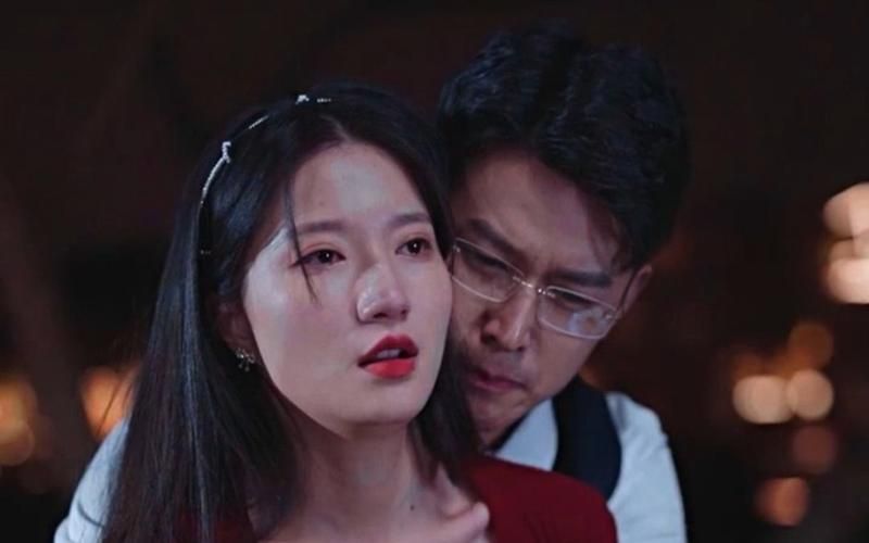 以爱为笼封面图