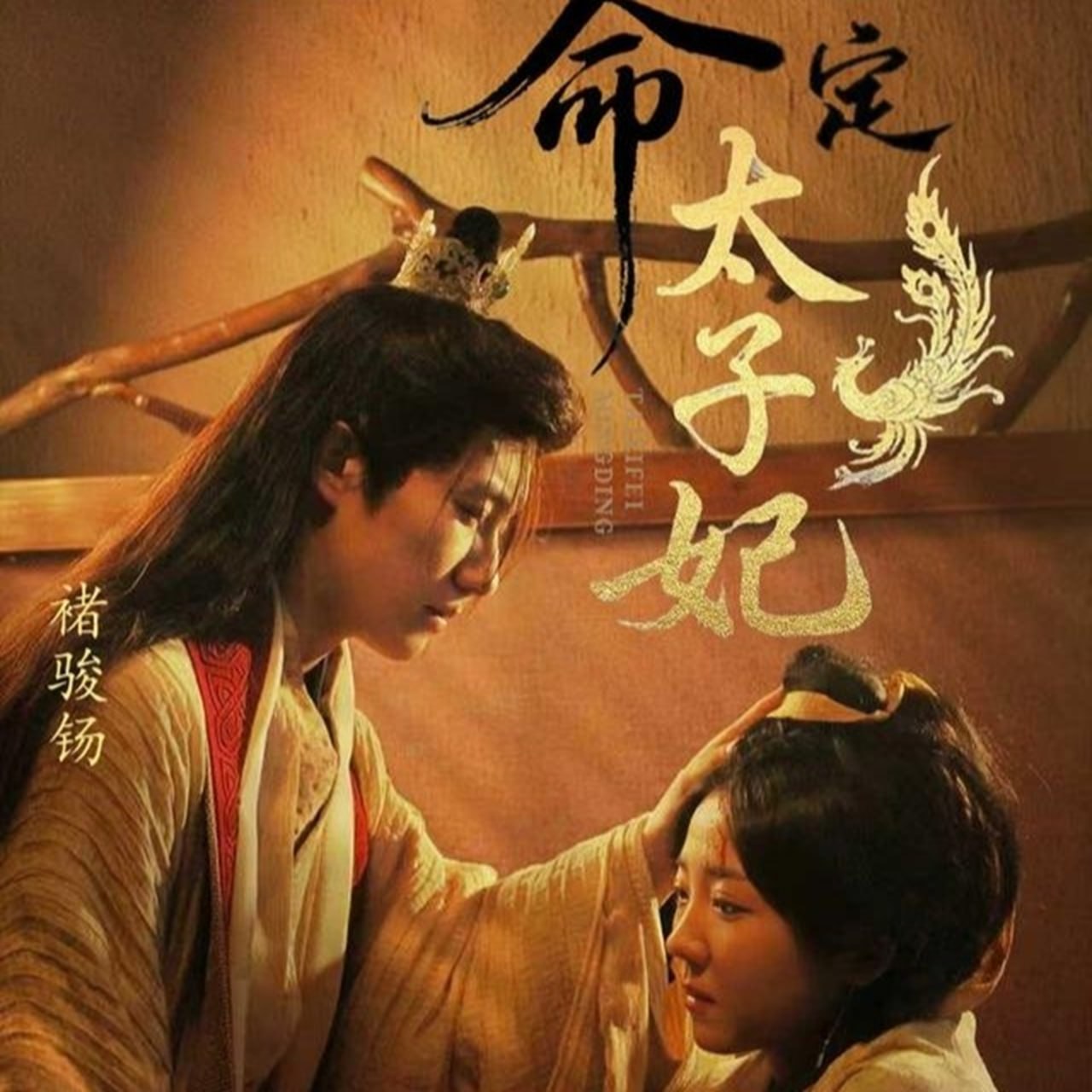 命定太子妃封面图