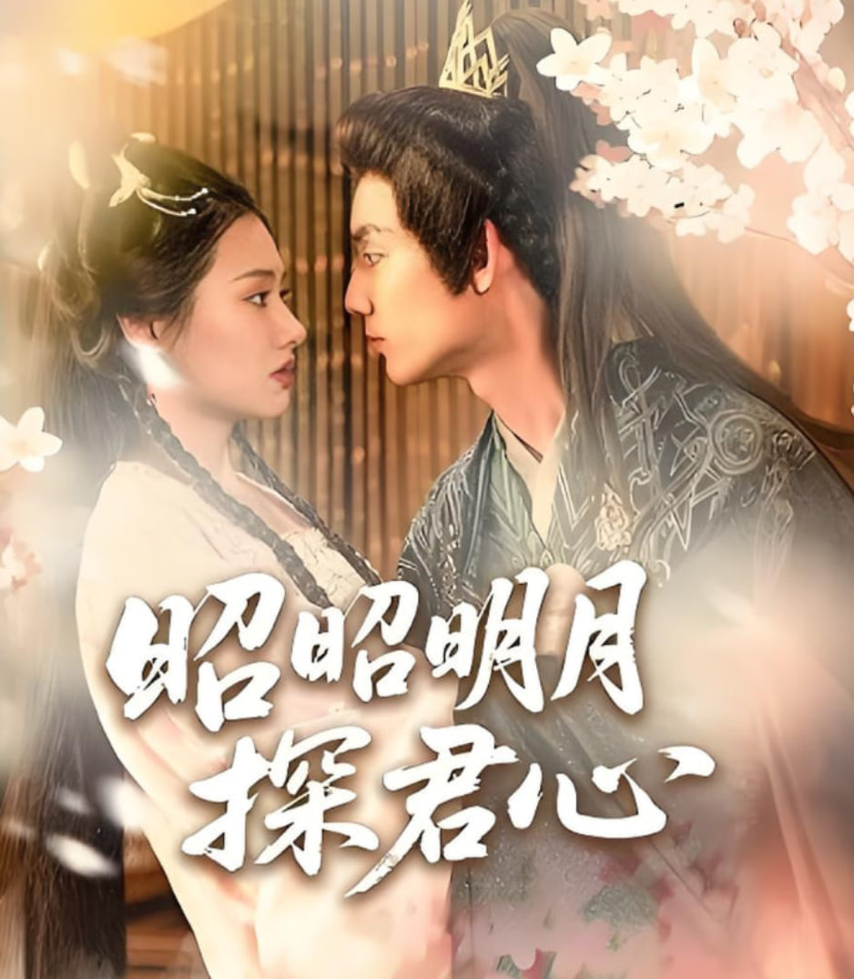 昭昭明月探君心封面图