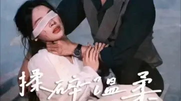 揉碎温柔封面图