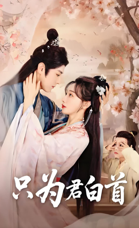 只为君白首封面图