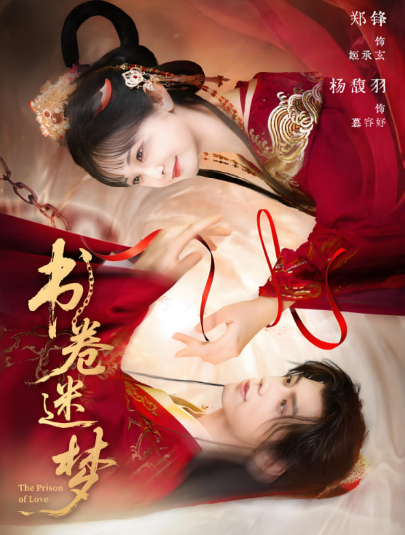 书卷迷梦封面图