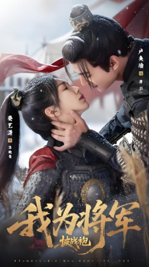 我为将军披战袍封面图