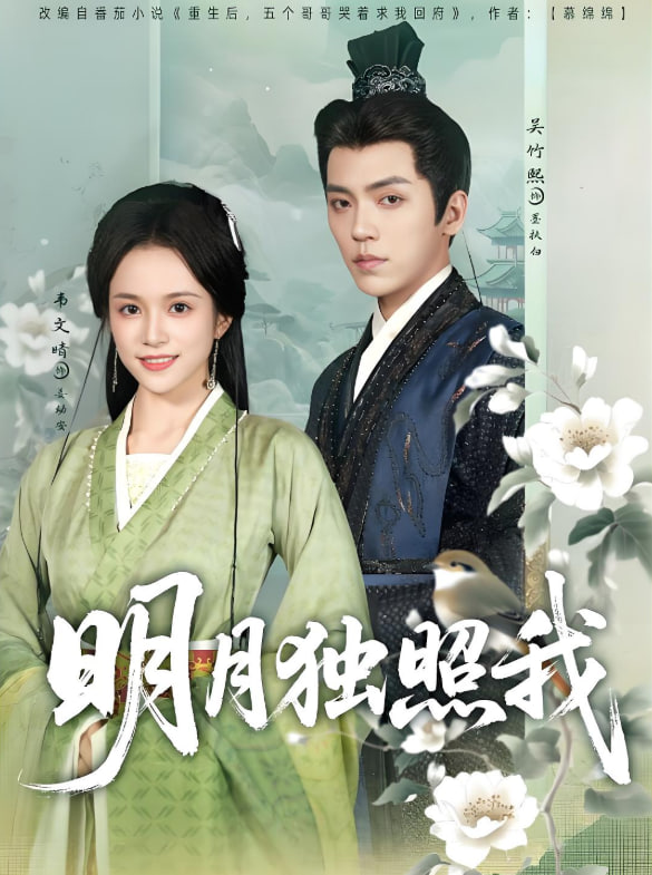 明月独照我封面图