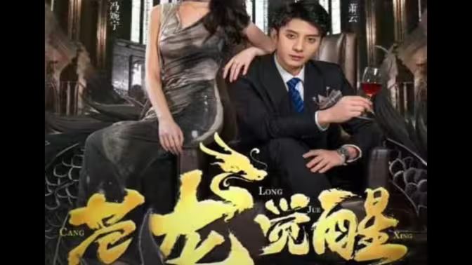 苍龙觉醒封面图