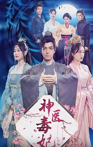 神医毒妃封面图