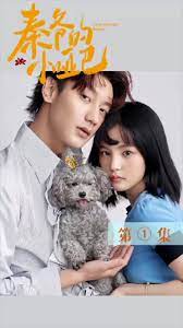 秦爷的小哑妻封面图