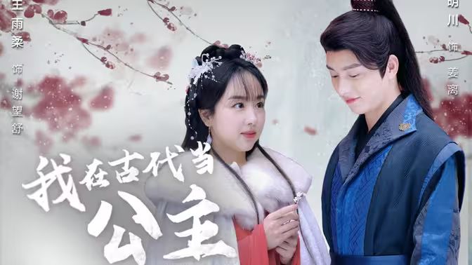 我在古代当公主封面图
