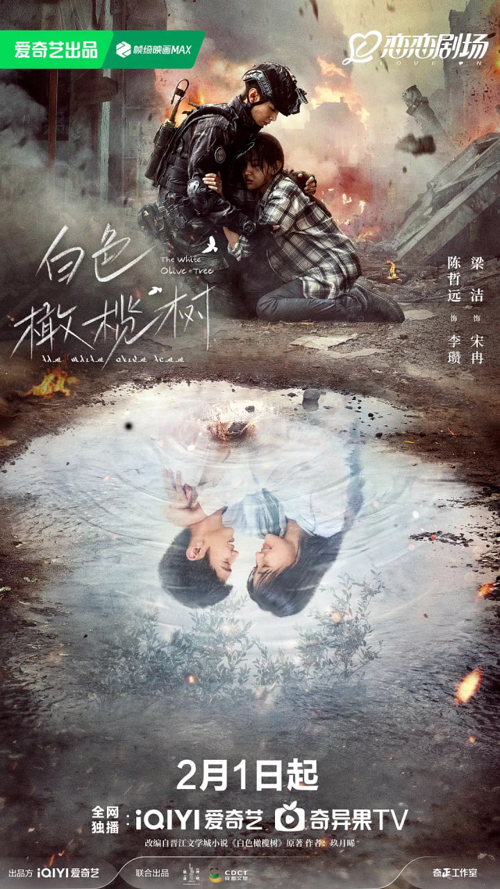 白色橄榄树封面图